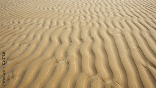 Textured Sand Waves on a Beach