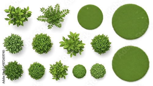 Top view garden shrubs and circular lawn grass patches
