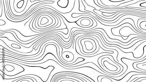 Abstract black and white lines forming organic, flowing shapes and patterns.