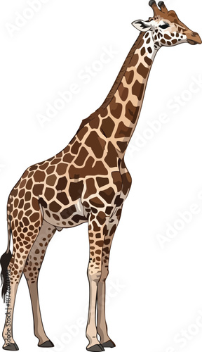 Graceful Giraffe Illustration Tallest Land Mammal in Vector Art