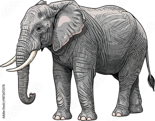 Majestic Elephant Portrait Detailed Illustration of a Gray African Elephant with Large Tusks