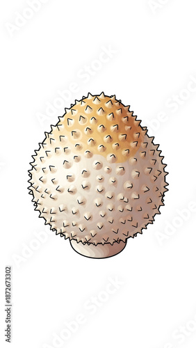 Spiky Fungus Cap Illustration Isolated on Black Background - Textured Mycological Design