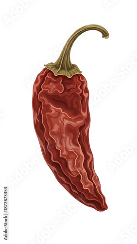 Fiery Dried Chili Pepper Vector Illustration Isolated on Black Background