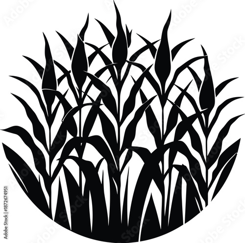 Silhouette of tall grass stalks in a circle reeds plants