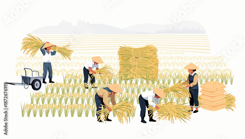 Farmers harvesting rice in a field, bundling the crops and loading them onto a cart.
