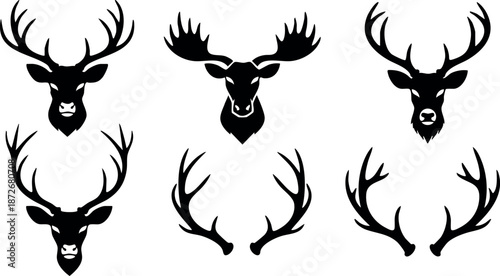 Deer and moose heads with antlers vector collection for wildlife and nature design elements