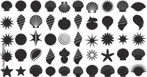 Sea shell silhouette set, marine ocean collection, scallop conch starfish icons, beach summer elements, isolated black vector