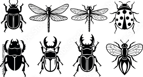 Collection of black silhouette beetles dragonflies ladybug and fly vector icons in classic style