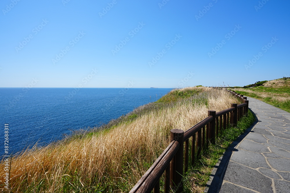 Fototapeta premium fascinating seascape with cliff walkway