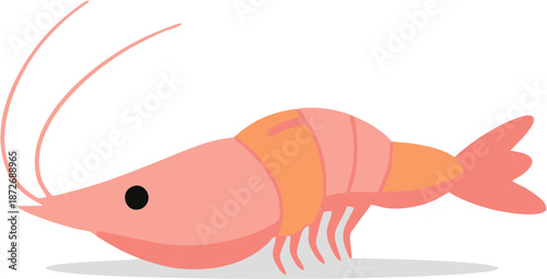 Pink Shrimp Side View Illustration.