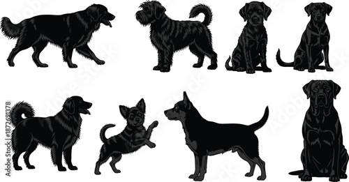 Silhouettes of diverse dog breeds in standing, sitting, and playful poses isolated on white background for education and design use