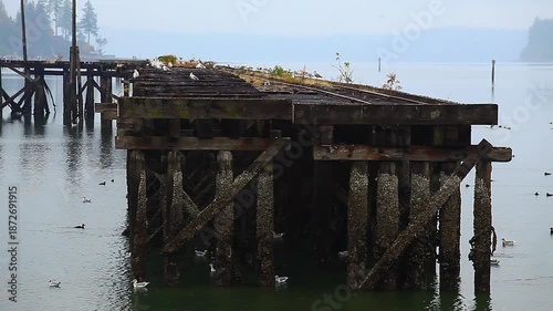  a video of an Puget Sound wildlife refuge dock in Washington State