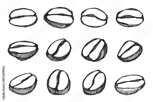 Set of hand drawn fresh roasted coffee bean Arabica robusta seed doodle Single element for design print packaging label decor