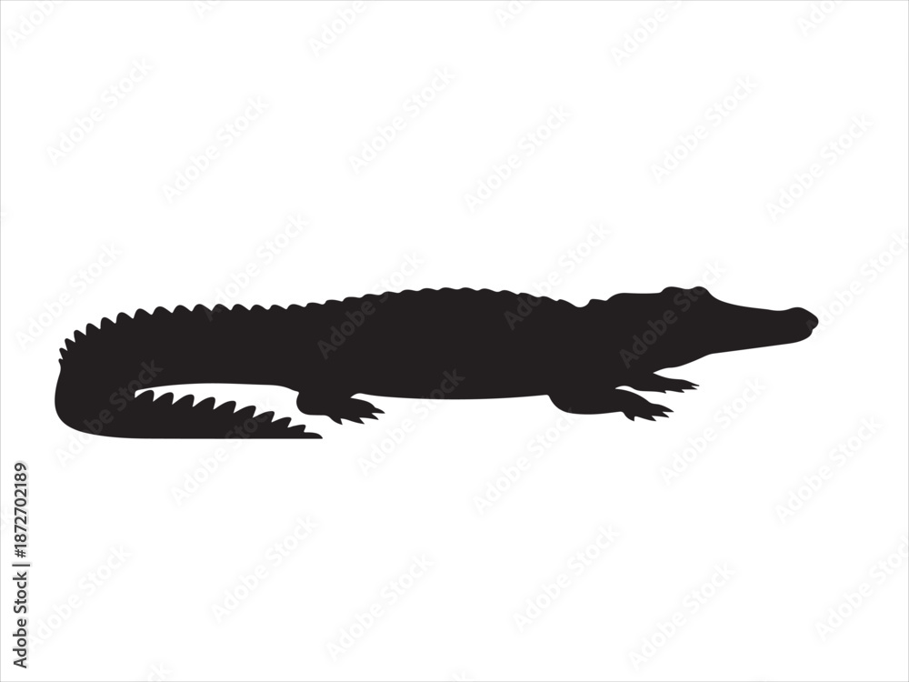 Fototapeta premium Vector of crocodile design, Silhouette of a crocodile vector illustration on white background 