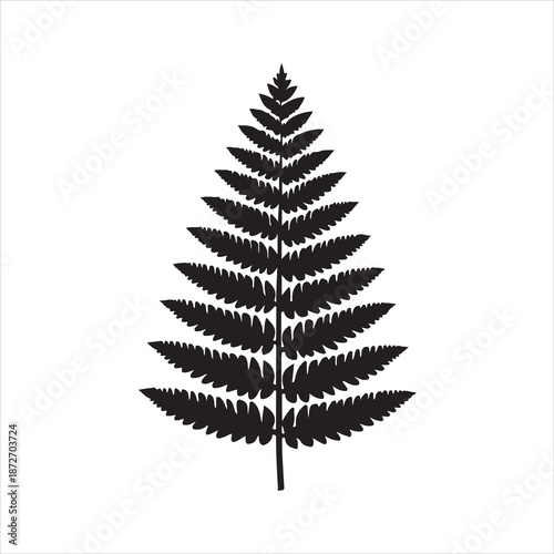 Detailed vintage illustration of fern leaf botanical design. A silhouette of a fern frond with detailed leaves isolated on white background