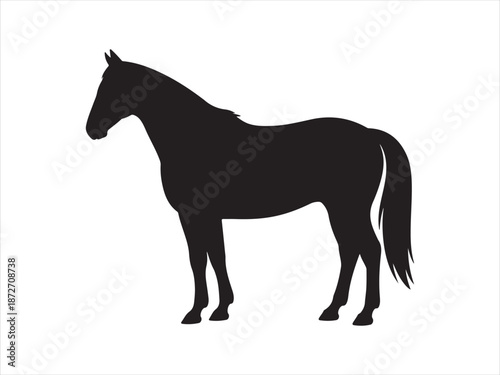 Rearing horse, Horse Silhouette, black horse silhouette vector illustration 