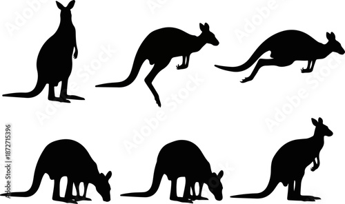 Kangaroo silhouettes in various poses against a plain white background viewed from the side