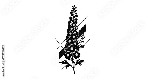 Elegant black and white illustration of a blooming delphinium flower with abstract geometric lines.