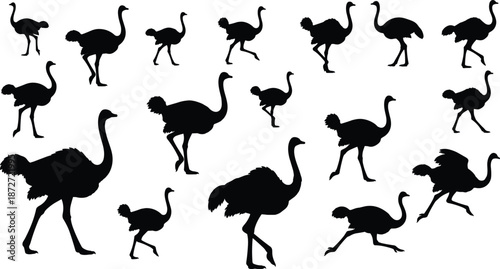 Foto Ostrich silhouette vector set, standing, walking, running poses, large bird illu