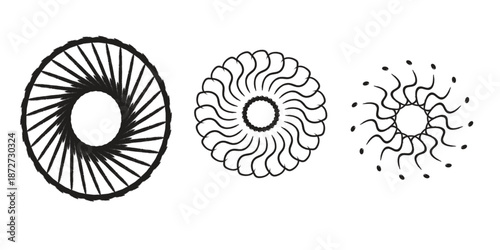 Evolution of cell structure illustration
