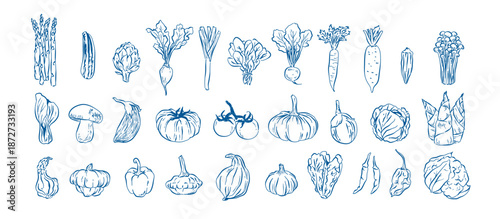 Vegetable in Hand-drawn style set , Whimsical drawing of food elements for design menu label packaging.  icons vector illustration