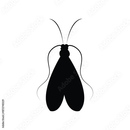 Monochrome Moth Illustration: A sleek, minimalistic monochrome illustration of a moth. The insect's delicate wings and antennae create a visually striking contrast.