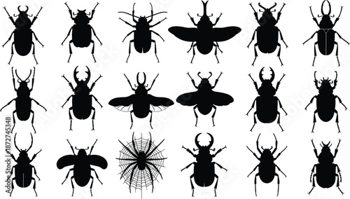Beetle insect silhouette icon set, bug species collection, flying crawling insects shapes, entomology wildlife symbols, black vector isolated