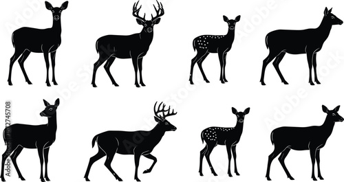 Deer, silhouettes, set, featuring, bucks, with, antlers, does, and, fawns, in, standing, and, walking, poses, for, wildlife, and, nature, designs
