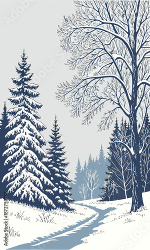Winter Wonderland Snowy Forest Path and Evergreen Trees.