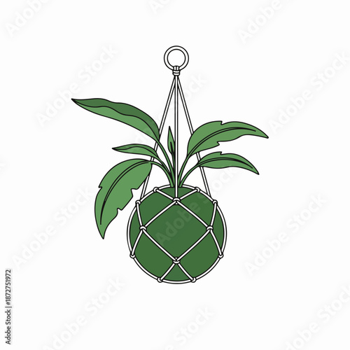 Hanging kokedama moss ball plant vector illustration. Minimalist line art icon for indoor gardening and home decor. Japanese bonsai style graphic