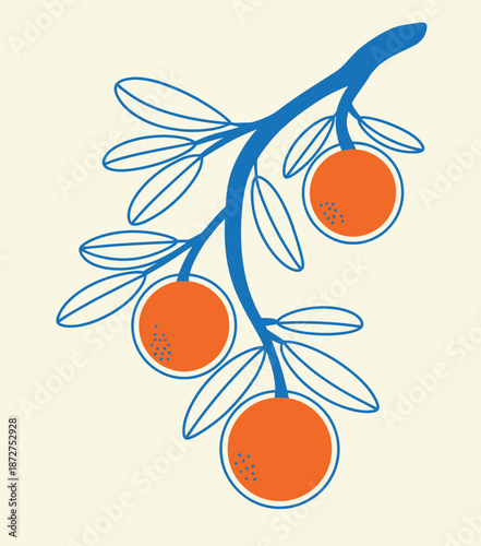Orange fruits blue branch with leaves
