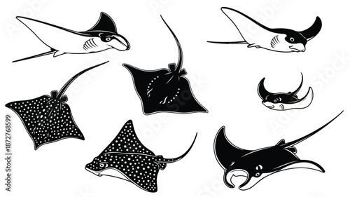 Collection of various stingrays in different patterns and poses on a white background.