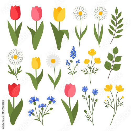 Spring Flowers Collection: Tulips, Daisies, Cornflowers, Buttercups in Flat Design