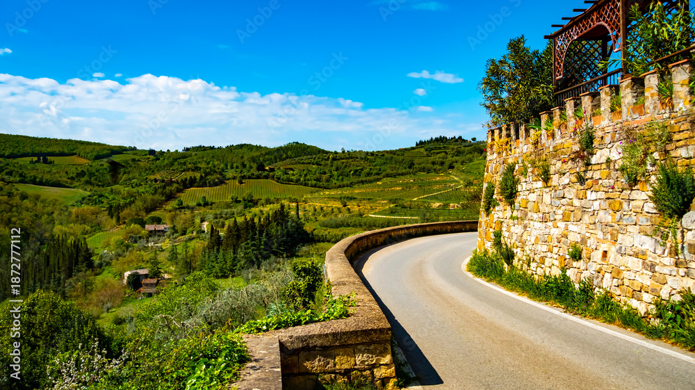 Fototapeta premium Winding road through the beautiful green hills and vineyards of Tuscany. Montefioralle, Italy.