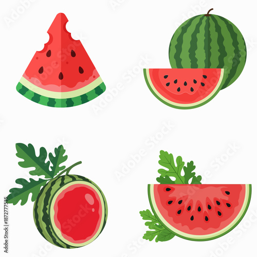Flat Cartoon Watermelon Vector Illustration Set