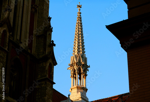 gothic architecture spire city scape landmark urban building foreground frame work Europe culture aesthetic