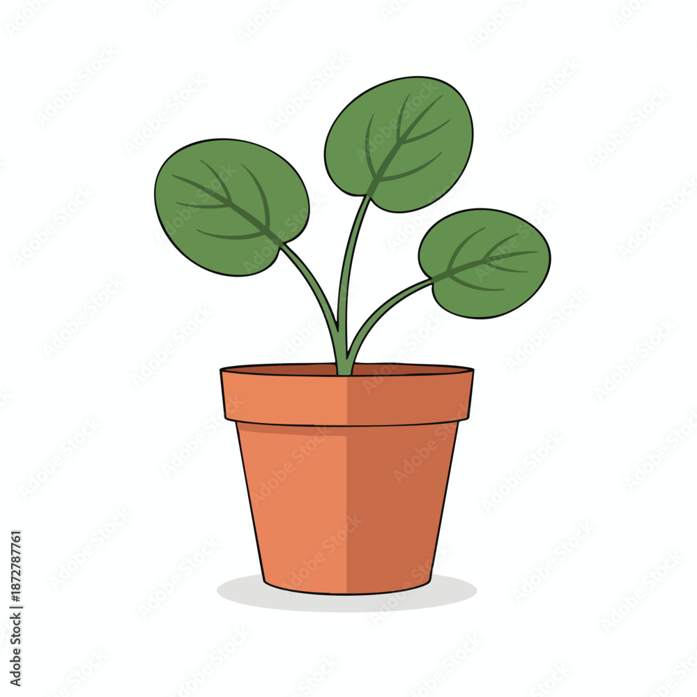 Obraz premium Potted Plant with Green Leaves