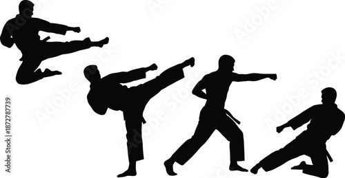Karate martial arts fighter silhouette collection showing kicking punching stances action poses isolated black vector illustration on white background