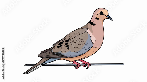 A stylized depiction of a mourning dove perched on a thin horizontal bar