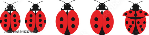 Cute ladybug vector icons, red ladybird insect clipart set, bug illustration pack with spots and wings