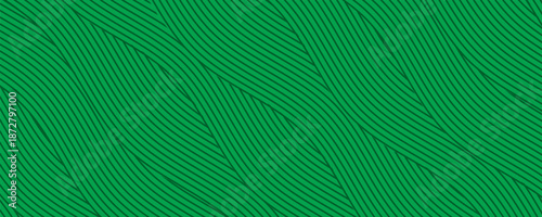farm green banner, organic abstract background with fields. wavy green lines, natural organic products. ecology background. striped farmer green Pattern