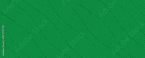farm green banner, organic abstract background with fields. wavy green lines, natural organic products. ecology background. striped farmer green Pattern