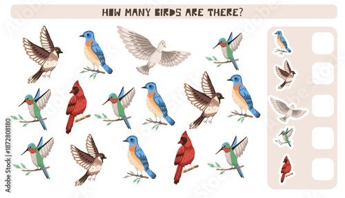 Math counting game with forest birds. Preschool task activity