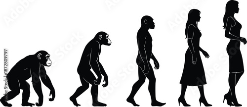Silhouette illustration showing the evolution of a woman from ape to modern professional female, concept of human progress and growth.
