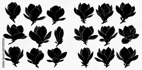 Elegant Magnolia Bloom Silhouettes A Versatile Set for Creative Design Projects and Natural Beauty Themed Content Creation Needs Perfect for Logos