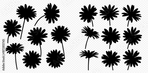 Floral silhouettes on transparent background for design projects perfect for adding a touch of natural elegance and minimalist charm to any project