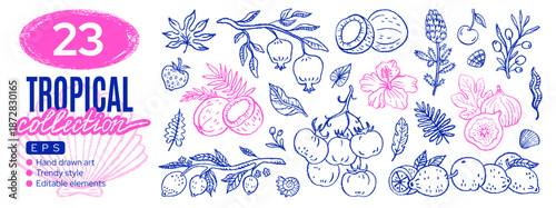 Doodle fruit, leaf flower tropical icon. Sketch Italian lemon fruit, summer strawberry, banana palm leaf, bali coconut, artichoke, tomato, fig branch png set. Hand drawn tropic sea coastal cocktail bg