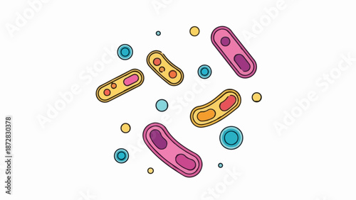 A vibrant, stylized illustration of various colorful bacteria and circular cells