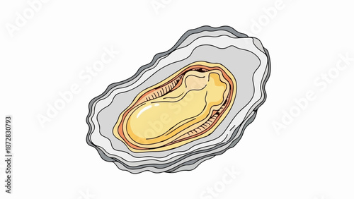 An artistic illustration of a raw, open oyster with a pearly, yellow interior against a white background