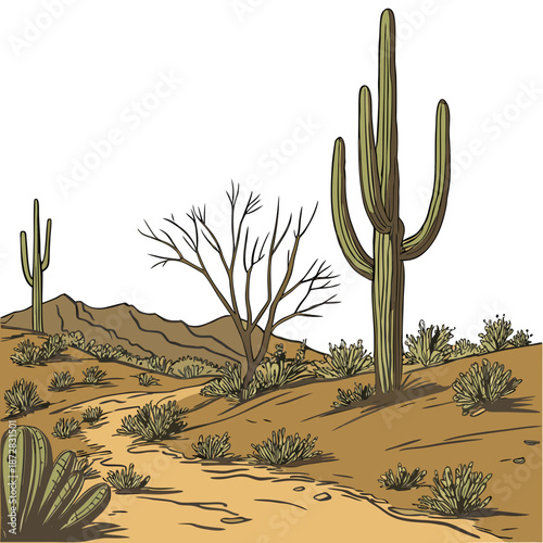 Desert landscape with cacti and shrubs on sandy hills